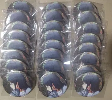 프로세카 31C 호시노 이치카 24점