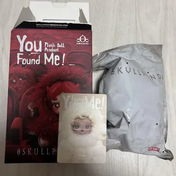 SKULLPANDA You Found Me! sandman