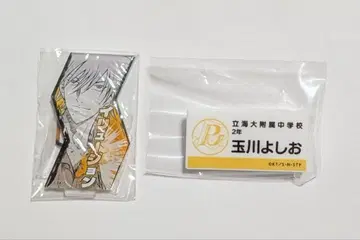 신 테니스의 왕자님 테니프리 릿카이 니오 타마가와 아크릴 스탠드 명찰