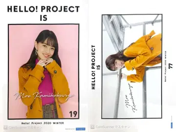 카미코쿠료 모에 2020 겨울 하로 핑포스 2종 세트