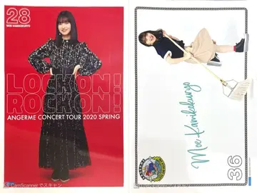 카미코쿠료 모에 2020 핀포스 2종 세트