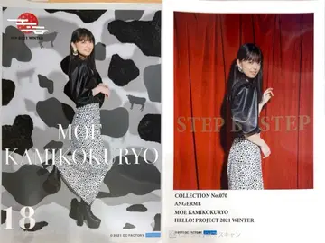 카미코쿠료 모에 2021 겨울 하로 핑포스 2종 세트