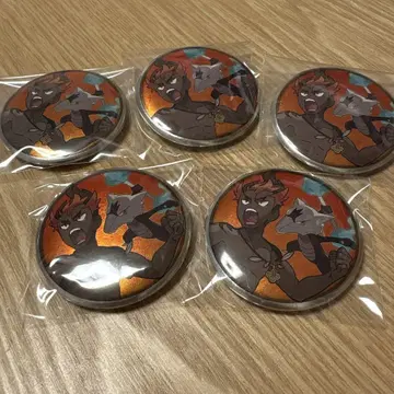포켓몬 아로라 캔뱃지 카키 포켓몬 센터 트레이닝복 캐릭터 배지