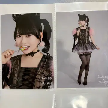 호테이 모모카 AKB48 다이마루 도쿄점 대의상전 랜덤 브로마이드 2종
