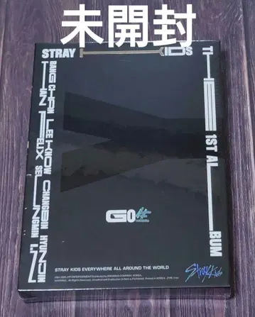[ 미개봉 새상품 ] 레어 straykids 앨범 GO 한정판