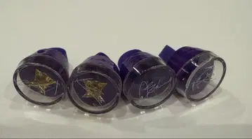 사쿠마 레이 히카제 카오루 스타라이 앙스타 링라이트 8th