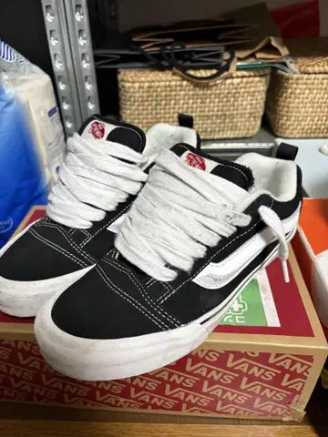 VANS NEW School