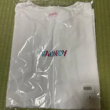 VAUNDY 로고 T셔츠 Blue x Pink M 사이즈