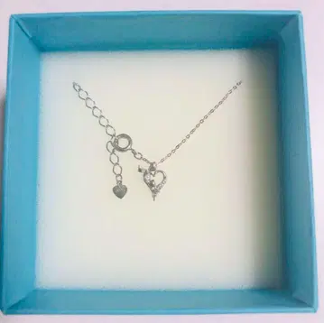 디즈니 원더랜드 앨리스 실버 목걸이 수량 한정 콜라보 상품