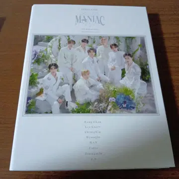 Stray Kids MANIAC 아이엔 트레이딩 카드 케이스 엽서 케이스