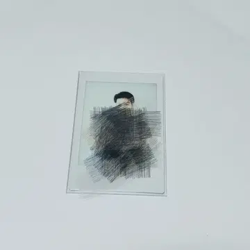 하세가와 신 폴라로이드