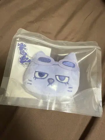 boynextdoor 태산 페이스 키링 한정판