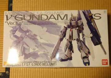 MG 1/100 뉴 건담 HWS Ver.Ka