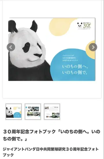 자이언트 팬더 30주년 기념 사진집