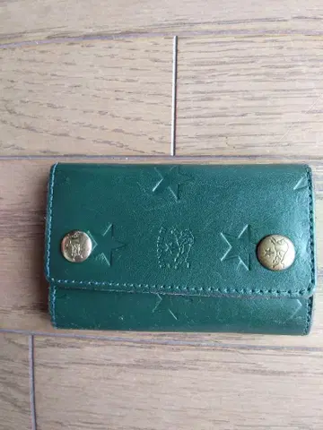 일비종떼 키케이스 별 모양 모스그린