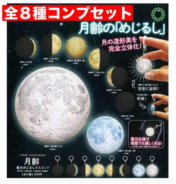 라스트 1세트 STC 월령 축광 메지루시 마스코트 전 8종 컴프세트