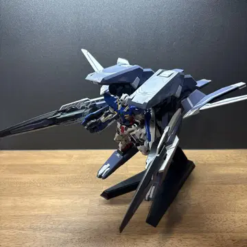 HG GN암즈 TYPE-E (리얼 컬러 Ver.) RG 건담 엑시아