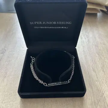 SUPER JUNIOR-YESUNG 팔찌