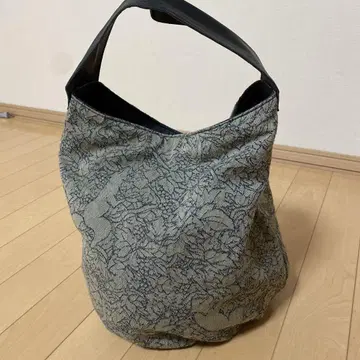 리제타 여우와 포도 백