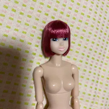 세키구치 momoko 본체만 미사용