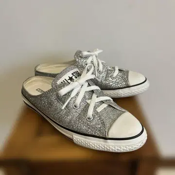 Converse 올스타 실버 슬립온