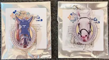 netkeiba 이어지는 아크릴 참 유버레벤 (레어), 고져스