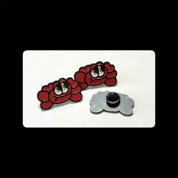 PINS