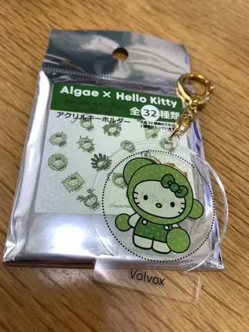 Algae x Hello Kitty 아크릴 키링