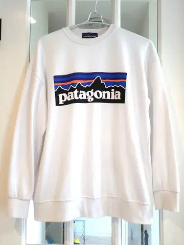 patagonia 화이트 맨투맨 얇은 소재 트레이너 men's