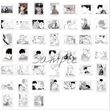 기븐전 ENCORE 파샤코레 PREMIUM 1BOX 1상자