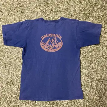 파타고니아 Patagonia 빈티지 T셔츠