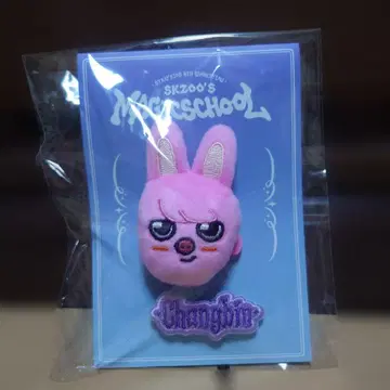 SKZOO 배지 세트 DWAEKKI