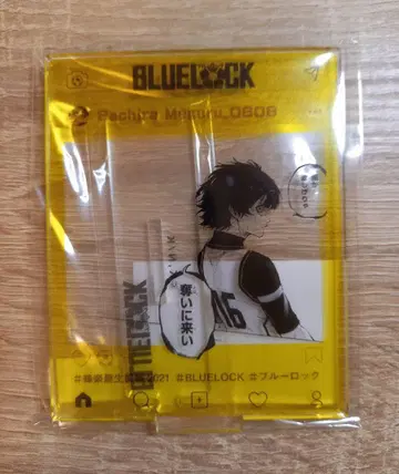 블루 록 프리 카페 벌스데이 아크릴 스탠드 호시노