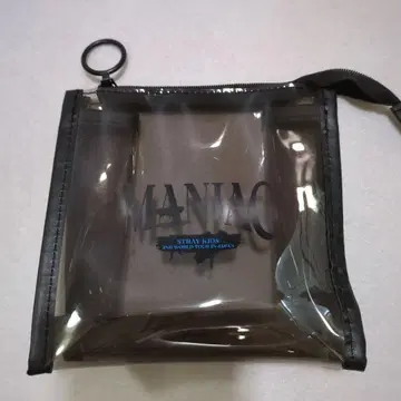 스트레이 키즈 스키즈 MANIAC 비닐 파우치