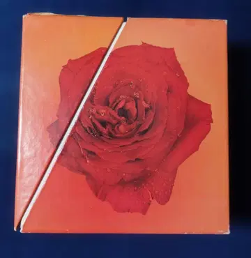 사이조 히데키 익사이팅 AGE 72-79 박스