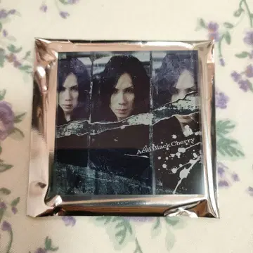 겨울의 환상 Acid Black Cherry 아크릴 마그넷