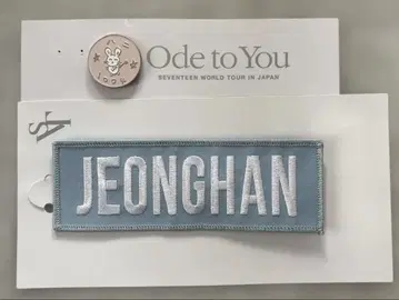 SEVENTEEN JEONGHAN 정한 핑 배지