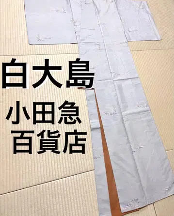 화이트 오시마 카타스식 9말 나비