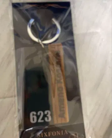 시쿠포니 아메노 코사메 룸 키링