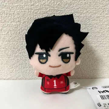 하이큐 SD 인형 봉제 인형 쿠로오 테츠로