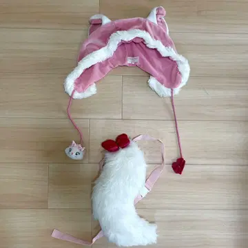 마리 모자 꼬리