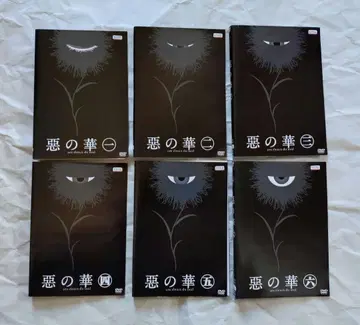 악의 꽃 DVD 전권 세트