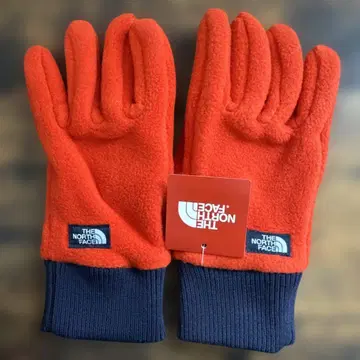 THE NORTH FACE ARMADILLA GLOVE 선셋 오렌지