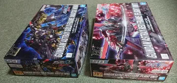 프라모델 미개봉 HG 아스트레이 2종 세트