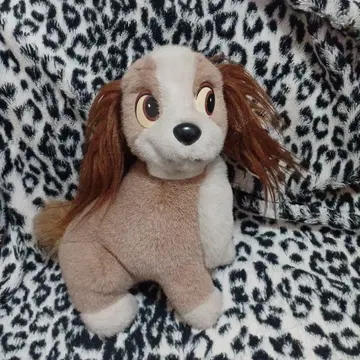 레이디 레트로
