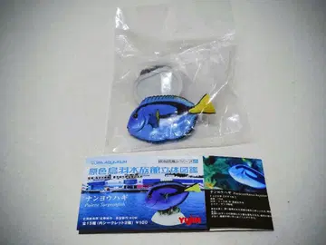 YUJIN 원색 토바 수족관 입체 도감 남양하기