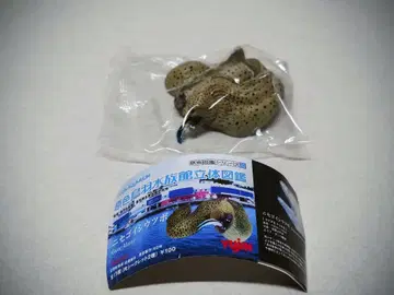 YUJIN 원색 새깃털 수족관 입체 도감 니세고이시우츠보