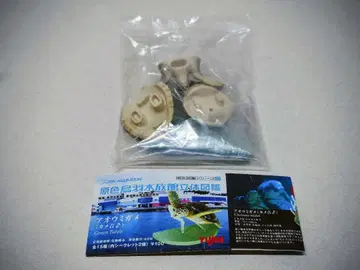 YUJIN 원색 새 깃털 바다 수족관 입체 도감 푸른바다거북