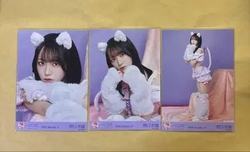 노구치 이오리 7주년 고양이 의상 컴프 브로마이드 이코럽 =LOVE