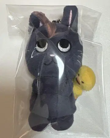 RIIZE 원빈 발렌타인 MD 10cm 키링 봉제 인형